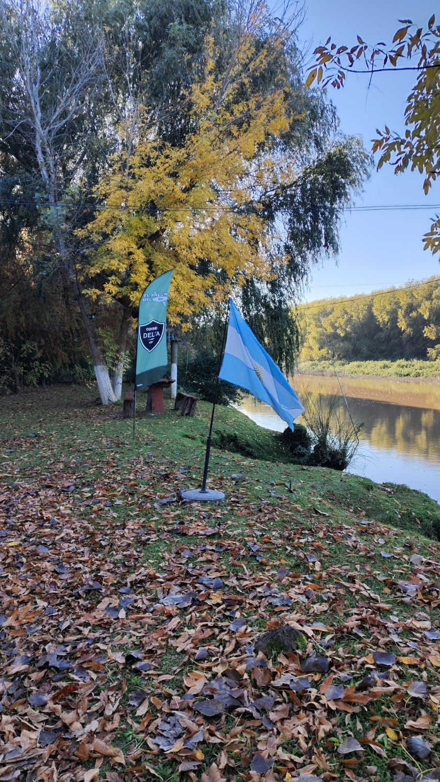 n15