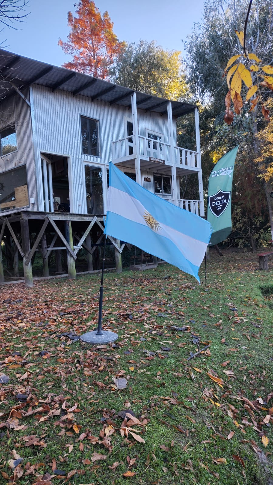 n16