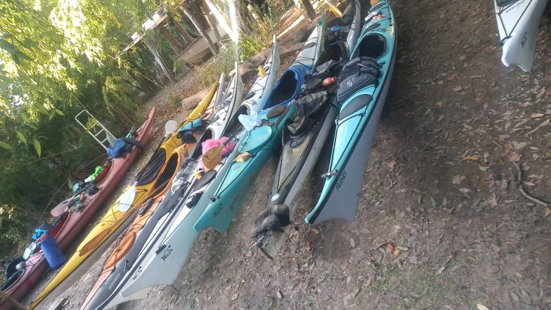 Kayaks listos para salir al Delta