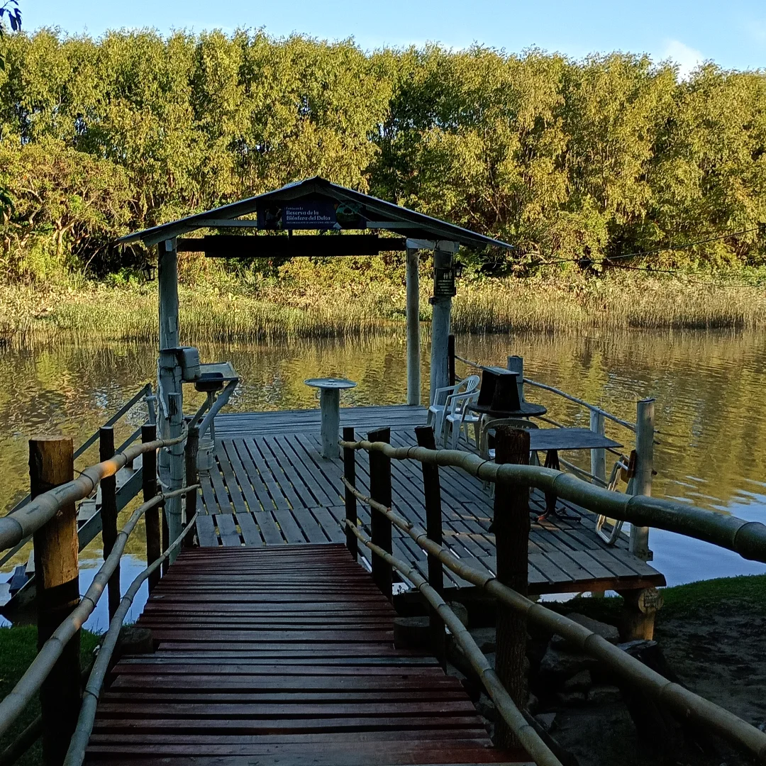 Vista frontal del muelle en el Delta